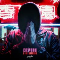 Рингтон Casyana - Я Не Хулиган на звонок скачать