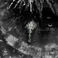 Рингтон Rasster - Alligator на звонок скачать