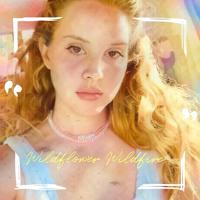 Рингтон Lana Del Rey - Wildflower Wildfire на звонок скачать