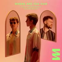 Рингтон Lost Frequencies & Calum Scott - Where Are You Now на звонок скачать
