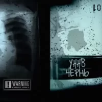 Рингтон УННВ - Лунная Соната на звонок скачать